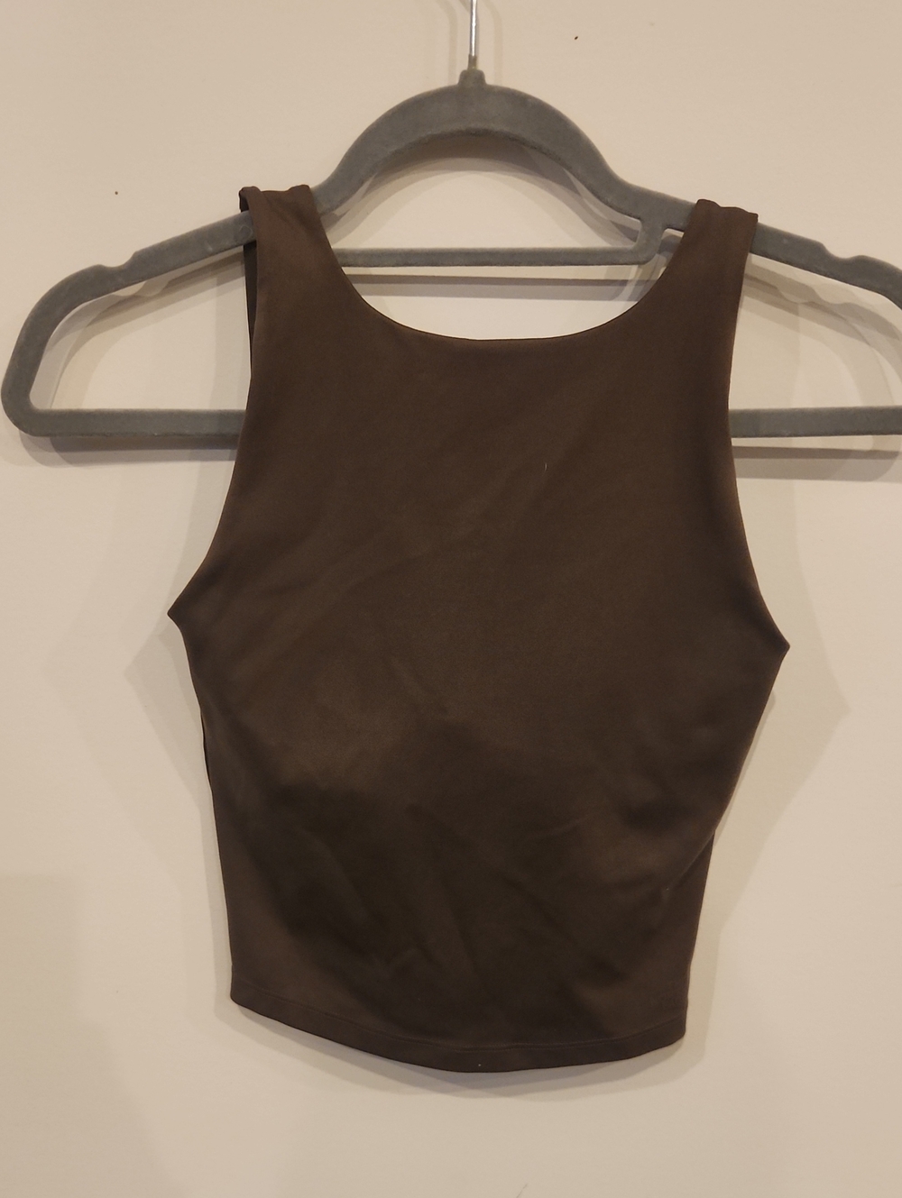 The North Face Brown Tank Crop Top